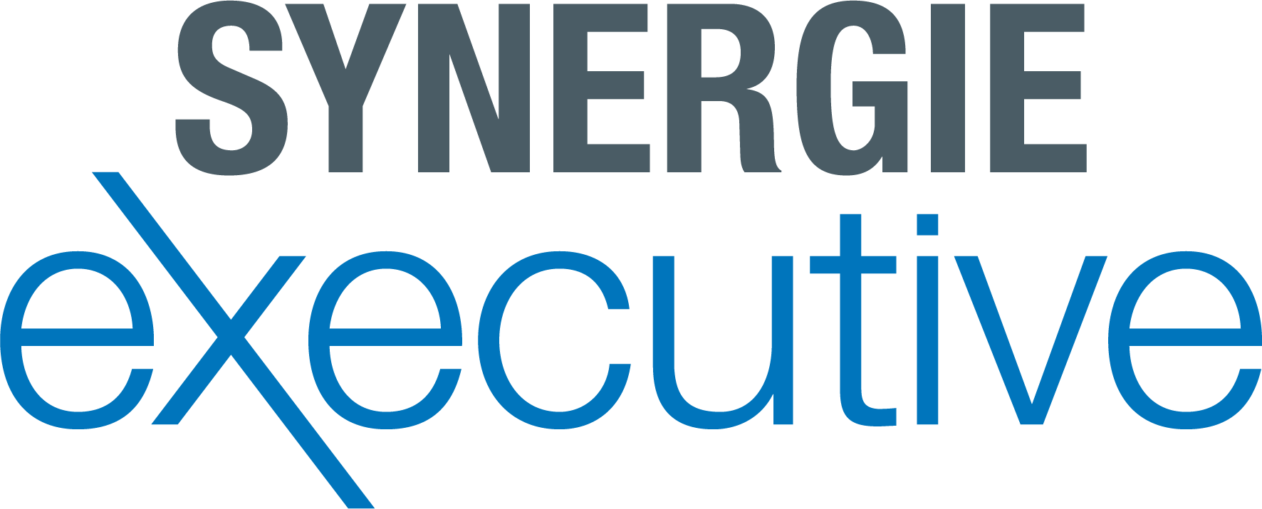 Synergie Executive